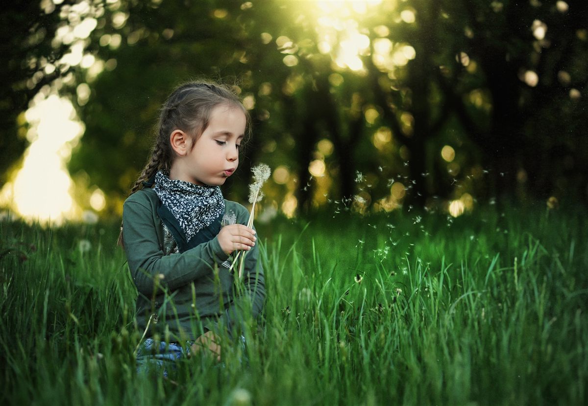 A child blowing dandelion seeds in a Burbank park